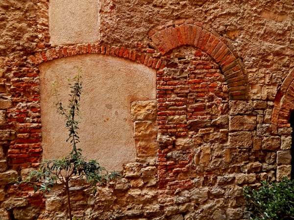 Never Give Up on Your Church by Shadow and Form